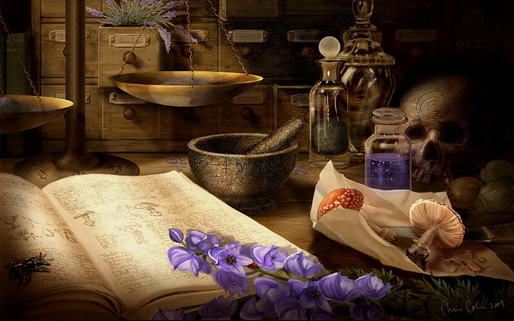 Annexe figure-fantasy-witchcraft-wallpaper-preview.jpg